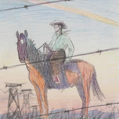 Powerlines - Study