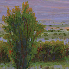 Prairie Evening
