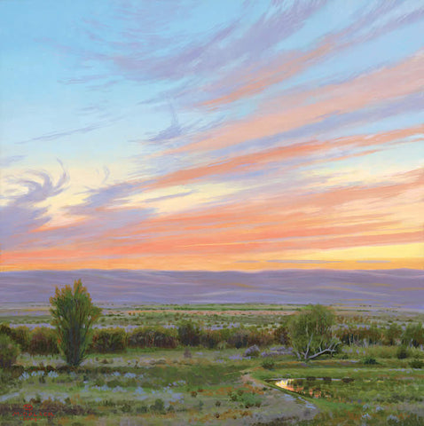 Prairie Evening
