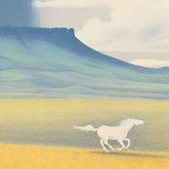 Racing the Storm 