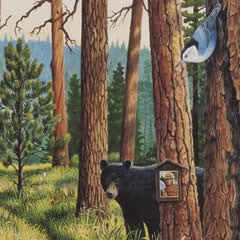 Restoring America's Forests