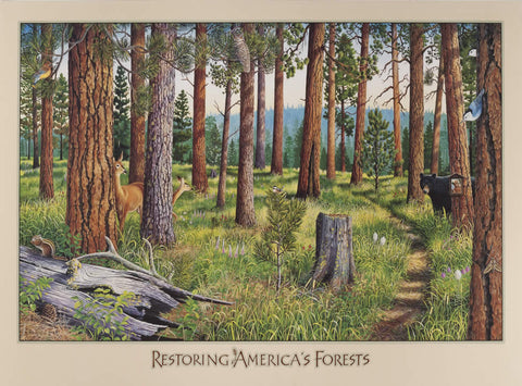 Restoring America's Forests - Small