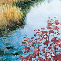 Rock Creek in Autumn