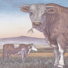 Sacred Bull - Hand Colored