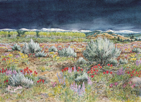 Sagebrush Country-Signed