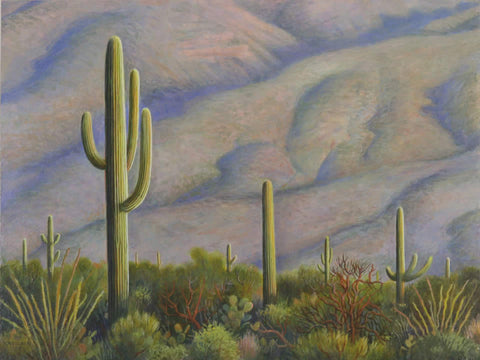 Saguaro Sunrise