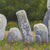 Seven Stones
