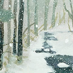 Snowfall on Rattlesnake Creek