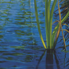 Springtime on Grant Creek