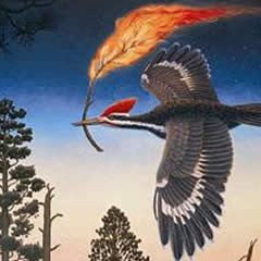 Stealing Fire