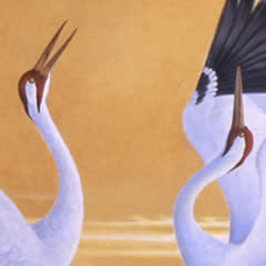 Sun Dancers