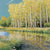 Teller Wildlife Refuge