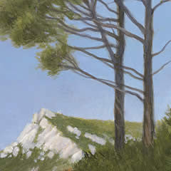 The Pines of Mont Saint Victorie