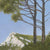 The Pines of Mont Saint Victorie