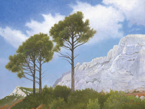 The Pines of Mont Saint Victorie