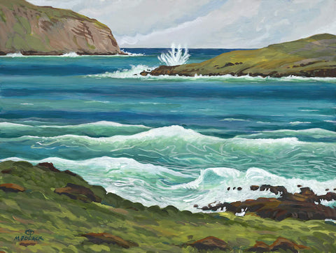 Tropical Inlet