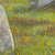 Two Stones