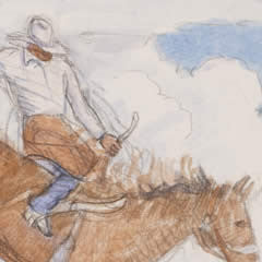 Western Montana Fair and Stampede - Study