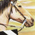 Westerns Unlimited-Signed