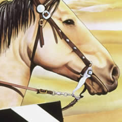 Westerns Unlimited