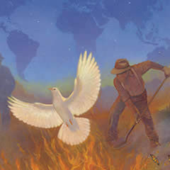 Wildland Fire, Uniting Globally