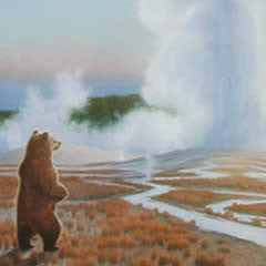 Yellowstone National Park - Bearing Witness