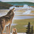 Yellowstone Wolves