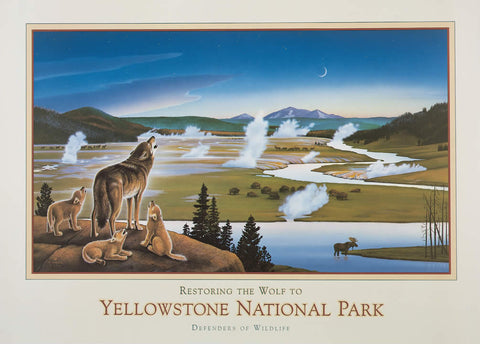 Yellowstone Wolves - Signed